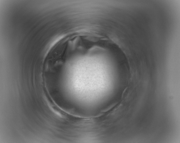 X0000054460050200508121948