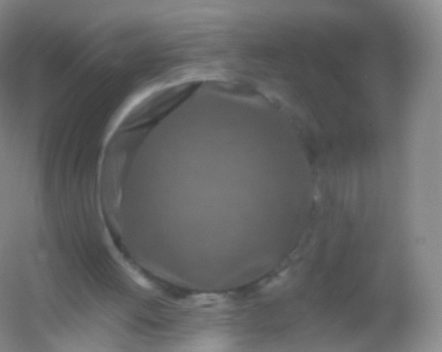 X0000054460052200508121948