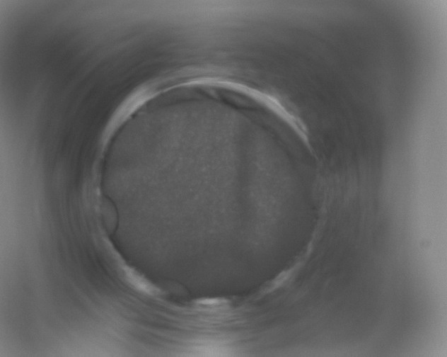 X0000054460053200508121948