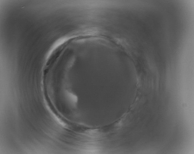 X0000054460054200508121948