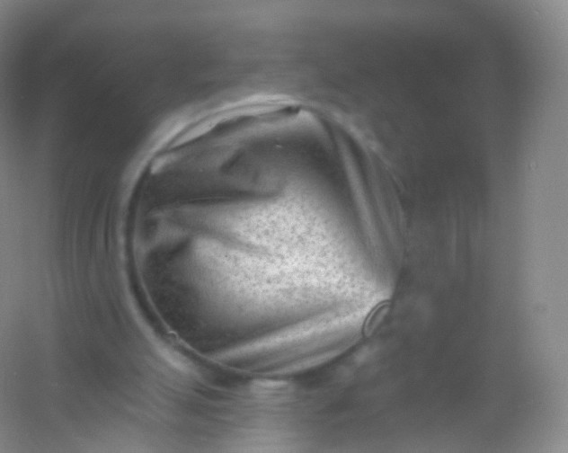 X0000054460055200508121948