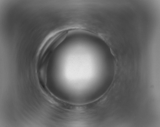 X0000054460056200508121948