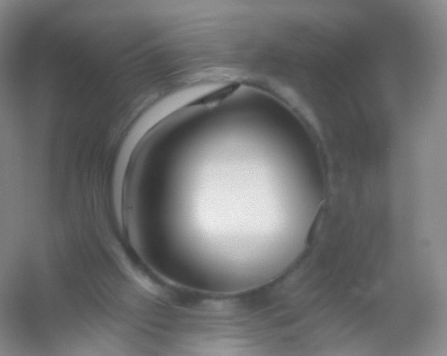 X0000054460057200508121948