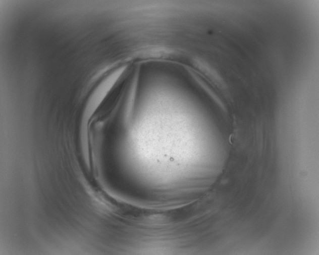 X0000054460058200508121948