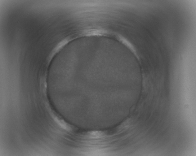 X0000054460059200508121948