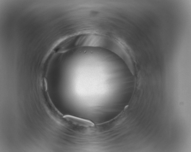 X0000054460060200508121948