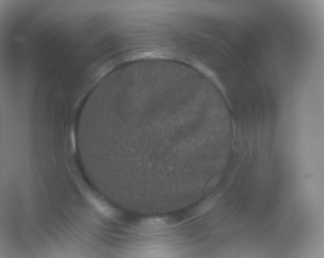 X0000054460061200508121948