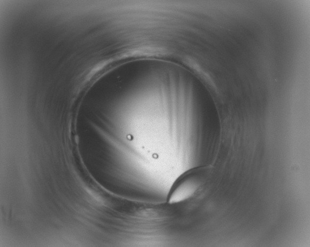 X0000054460062200508121948