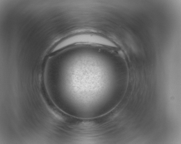 X0000054460063200508121948