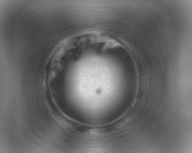 X0000054460064200508121948