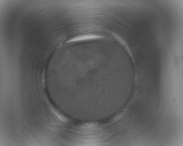 X0000054460065200508121948