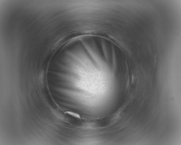 X0000054460066200508121948