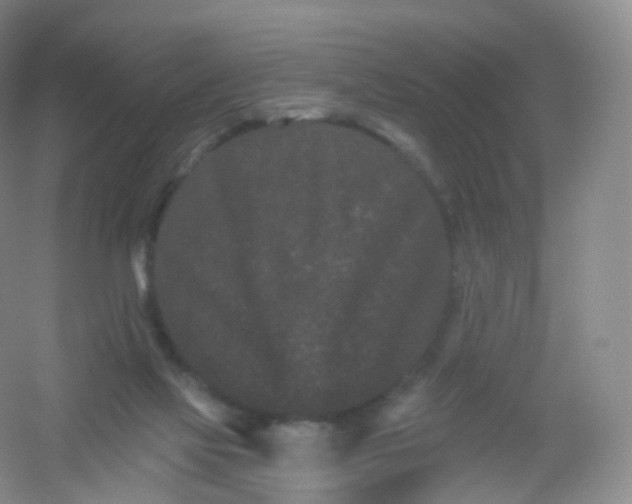 X0000054460069200508121948