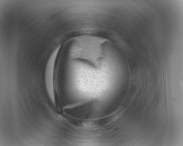 X0000054460070200508121948