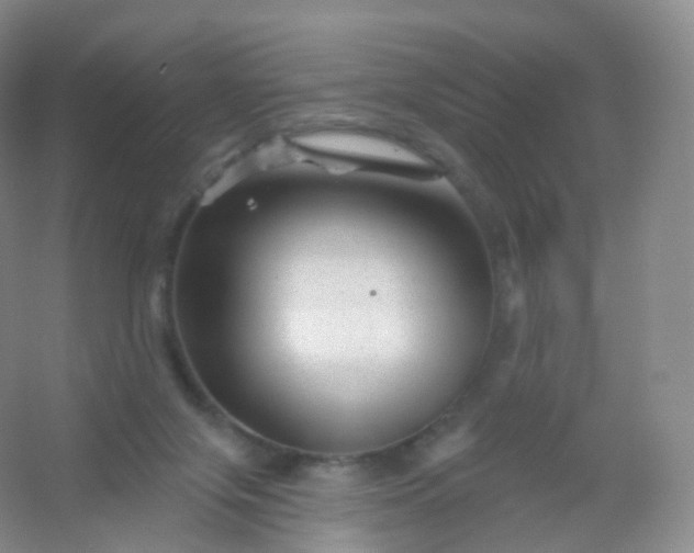 X0000054460071200508121948