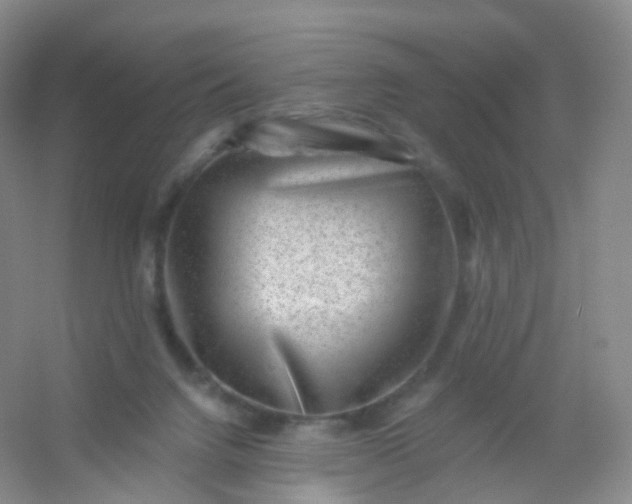 X0000054460072200508121948