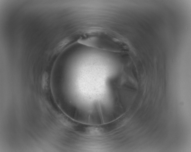 X0000054460073200508121948