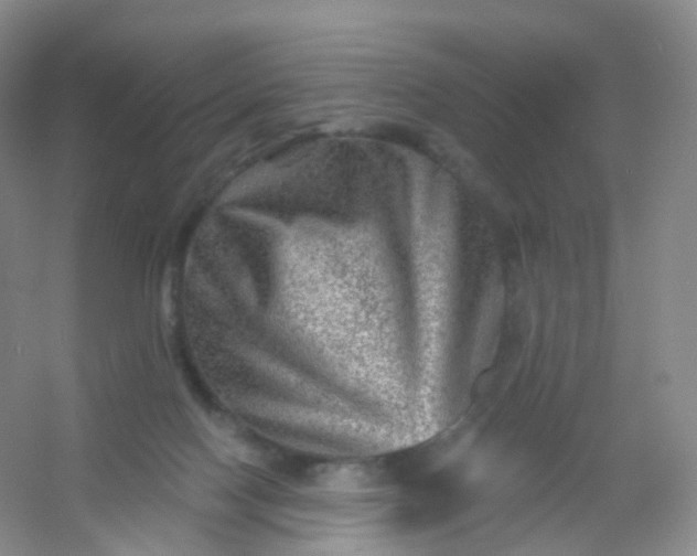 X0000054460074200508121948