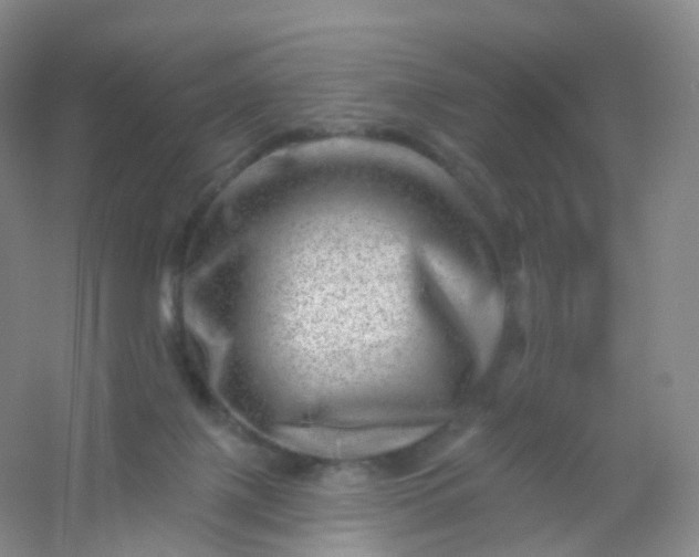 X0000054460075200508121948