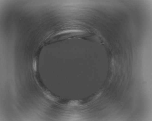 X0000054460076200508121948