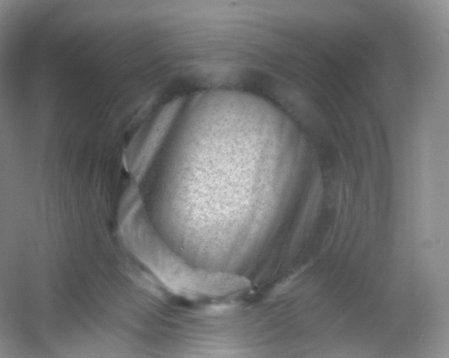 X0000054460077200508121948