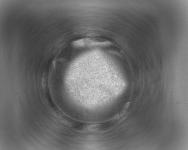 X0000054460078200508121948