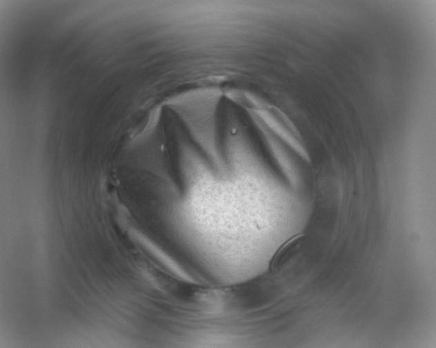 X0000054460079200508121948