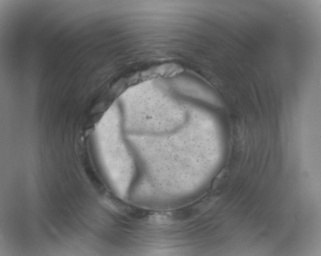 X0000054460080200508121948