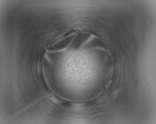 X0000054460081200508121948