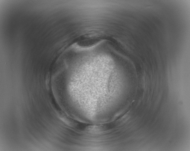 X0000054460082200508121948