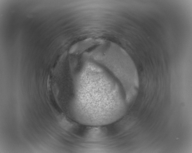 X0000054460083200508121948