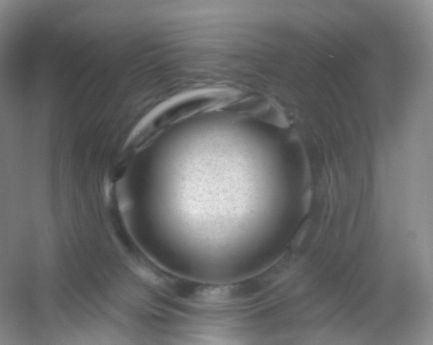 X0000054460084200508121948