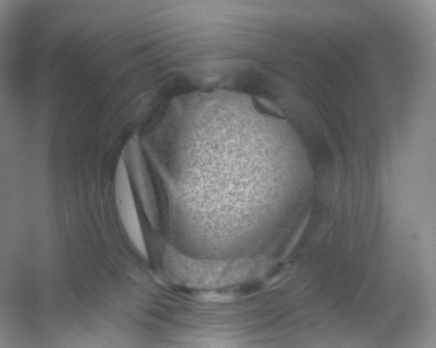 X0000054460085200508121948