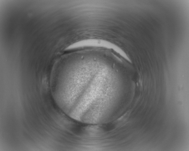 X0000054460086200508121948