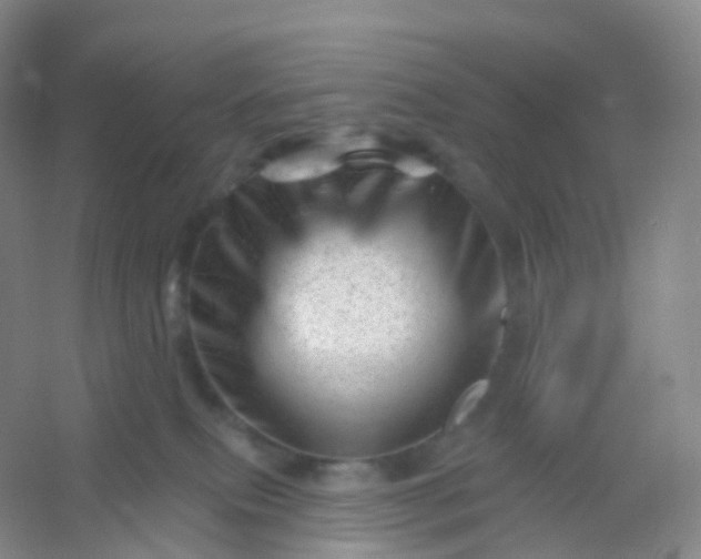 X0000054460087200508121948