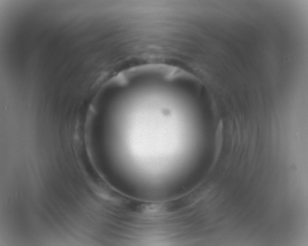 X0000054460088200508121948