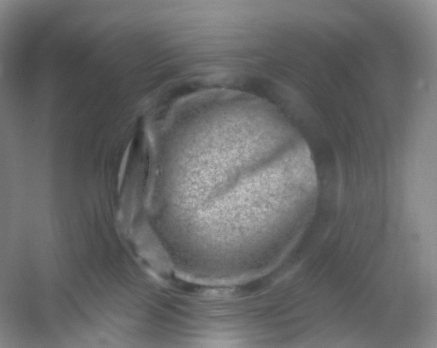 X0000054460089200508121948