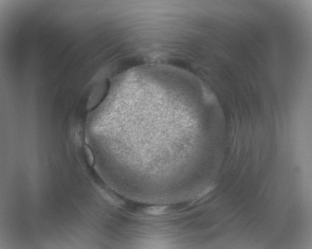 X0000054460090200508121948