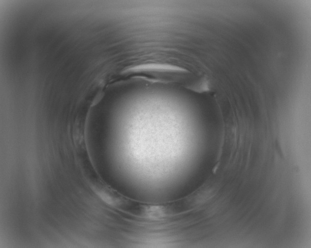 X0000054460091200508121948