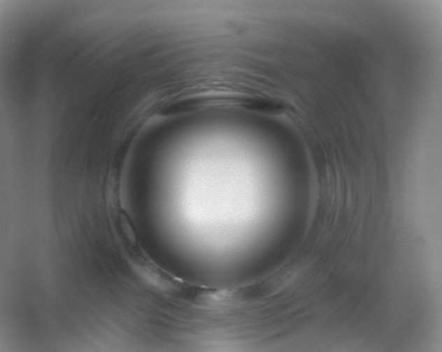 X0000054460092200508121948