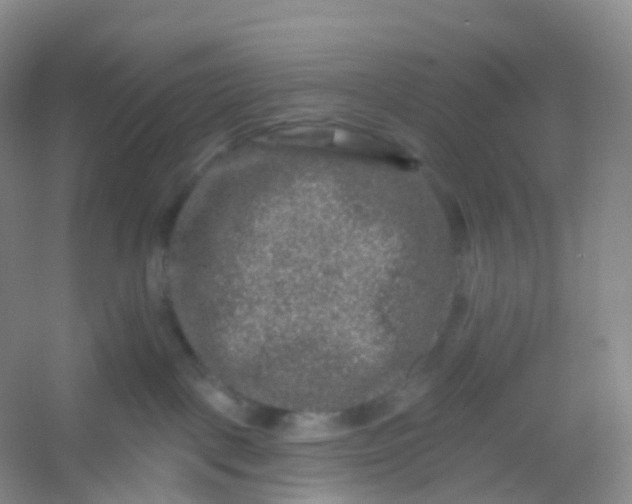 X0000054460093200508121948