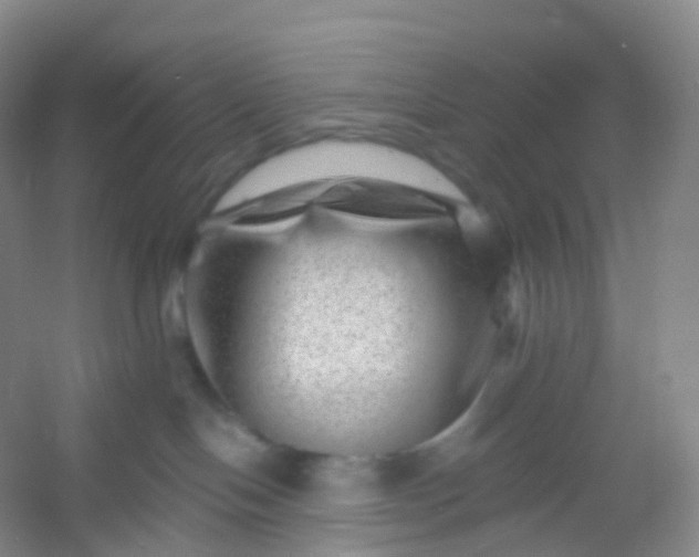 X0000054460094200508121948