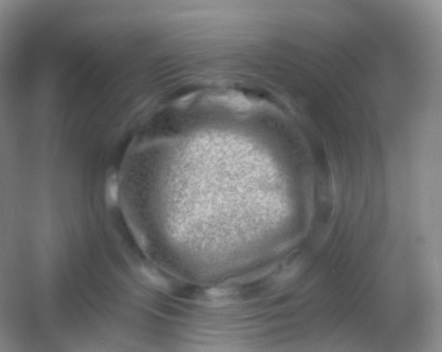 X0000054460095200508121948