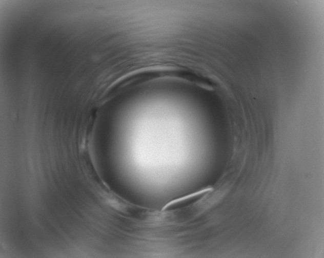 X0000054460096200508121948