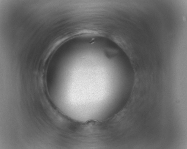 X0000054460098200508121948