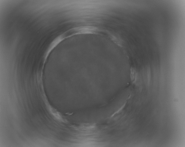 X0000054460099200508121948