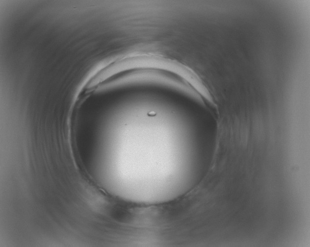 X0000054460100200508121948