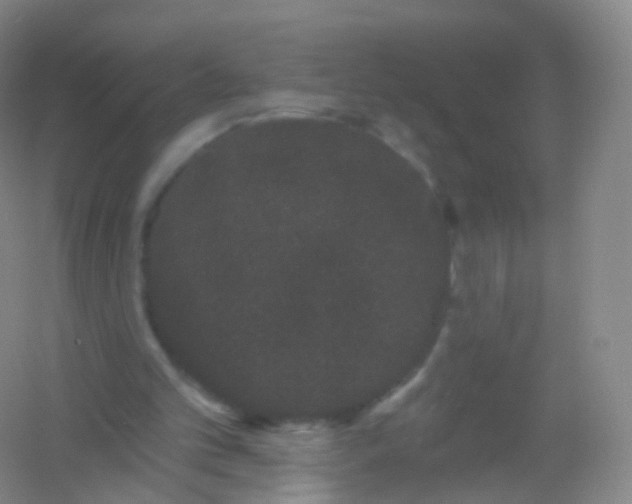 X0000054460101200508121948