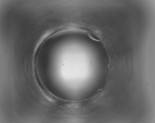 X0000054460102200508121948