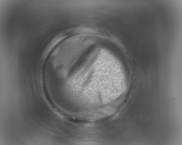 X0000054460103200508121948